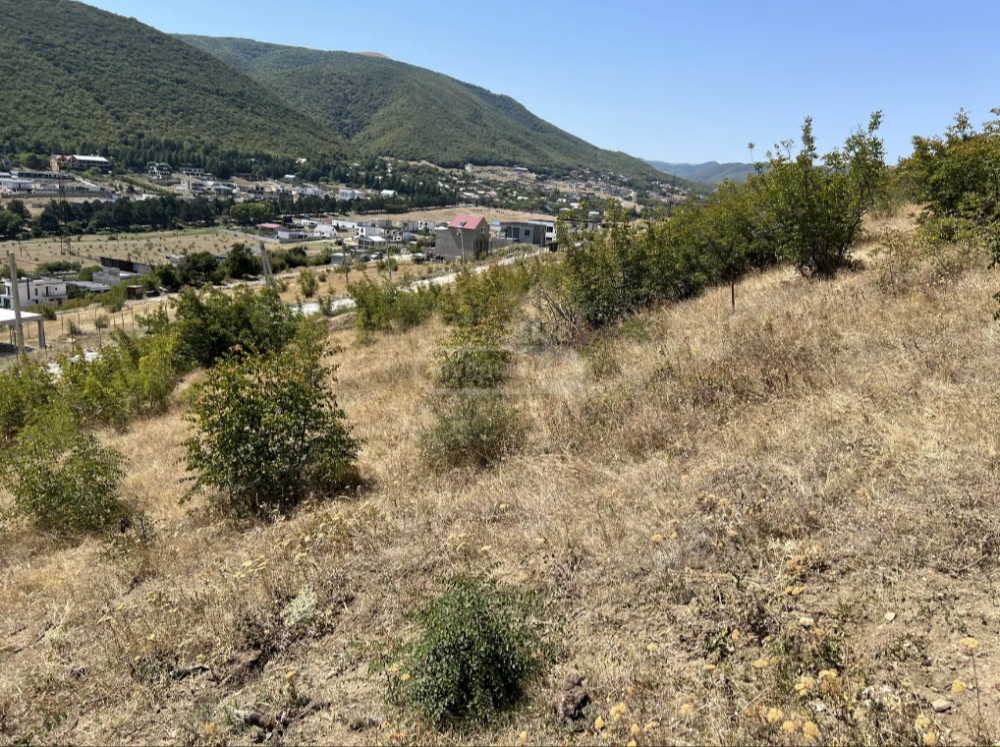იყიდება არა სასოფლო-სამეურნეო მიწის ნაკვეთი თბილისში